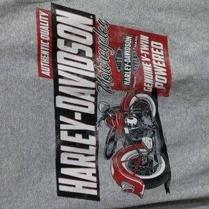 Harley-Davidson V-Twin Powered Gray Short Sleeve Tee Shirt Mens Large